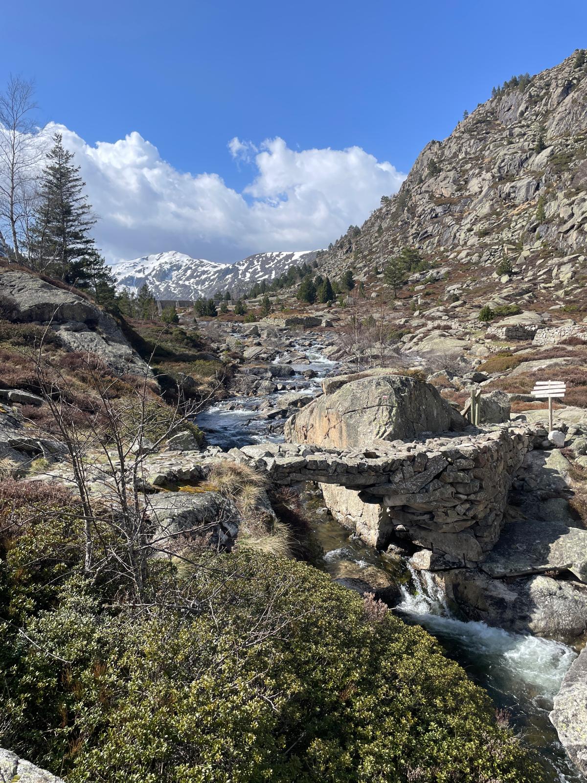 55022414-b505-49b6-b688-1791efc0e036