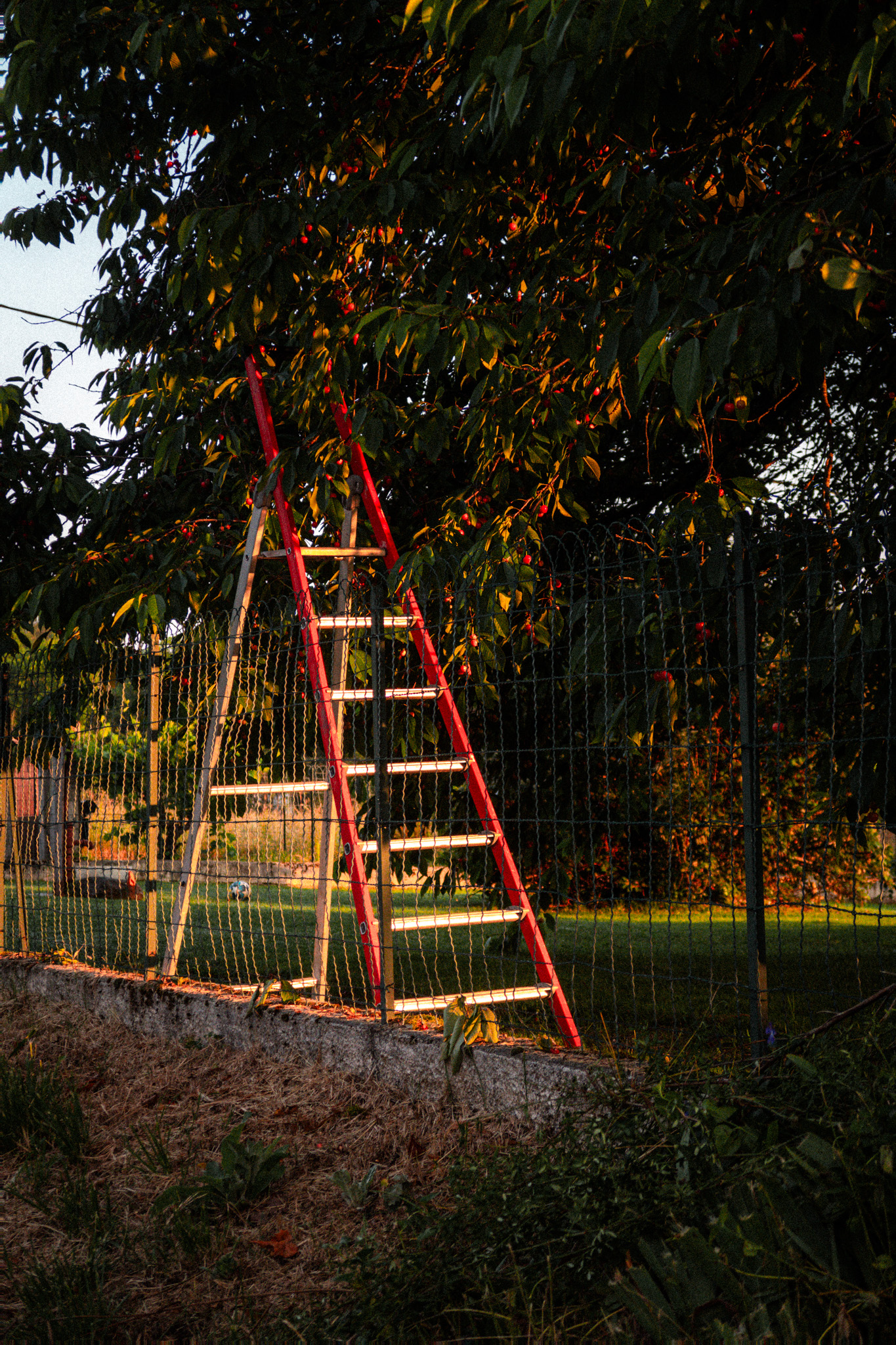 levé soleil foix-2