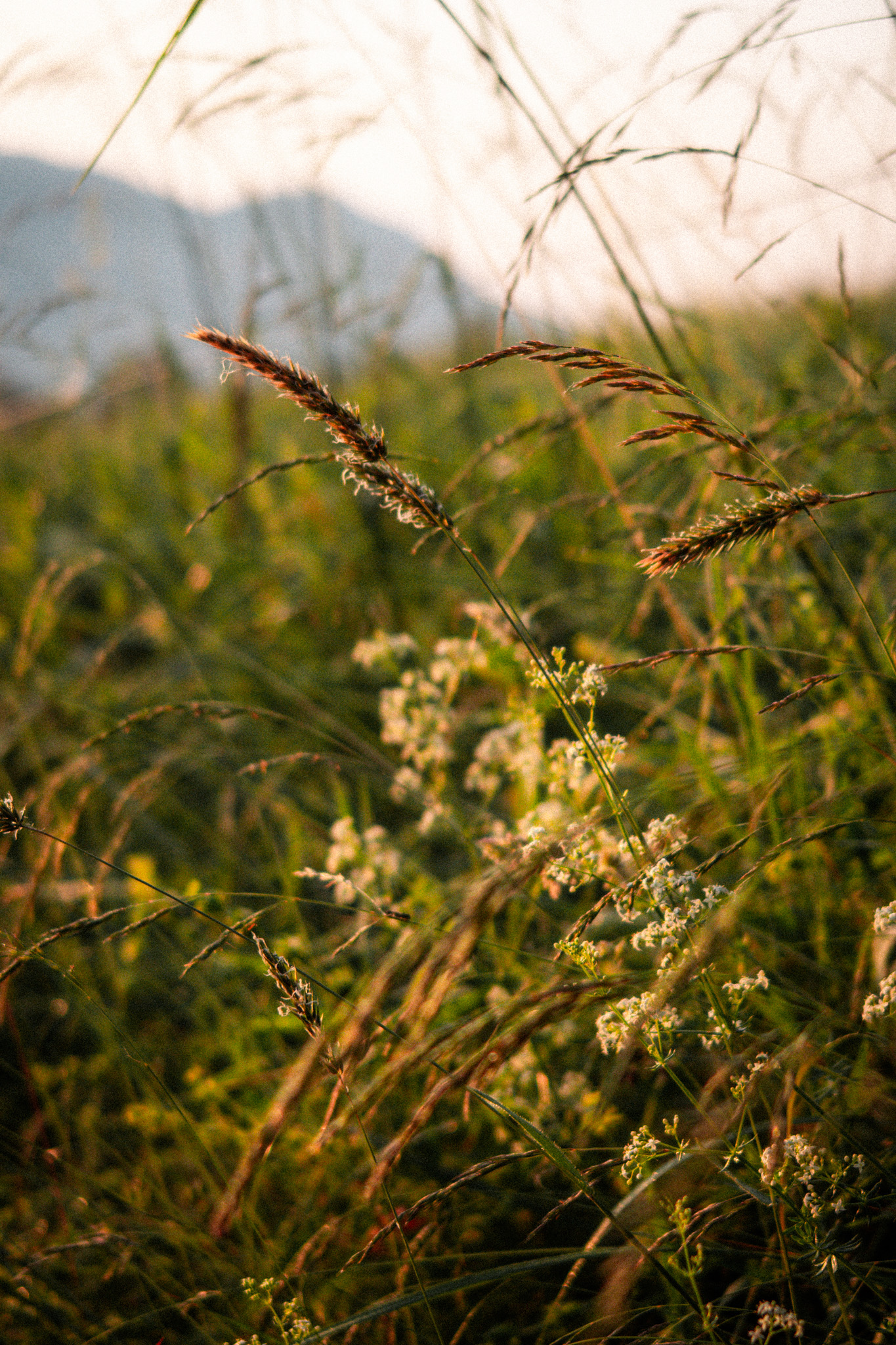 levé soleil foix-4